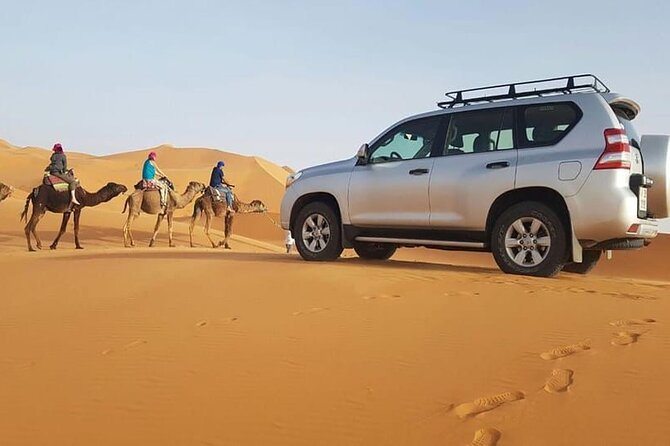 Jeep safari 4x4 mini sahara desert with Berber Lunch - Key points to know before you book