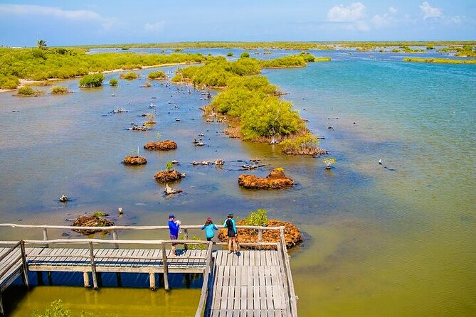 Jeep Safari All Inclusive Private Tour - Punta Sur, crocodiles, mangroves, and the lighthouse