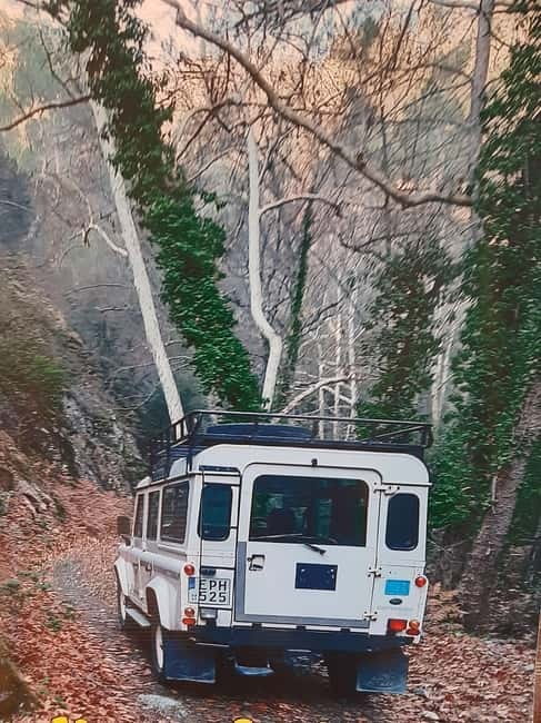 Jeep safari in French, English to Akamas, Gorge, Donkey Farm - From Paphos banana fields to the sea caves