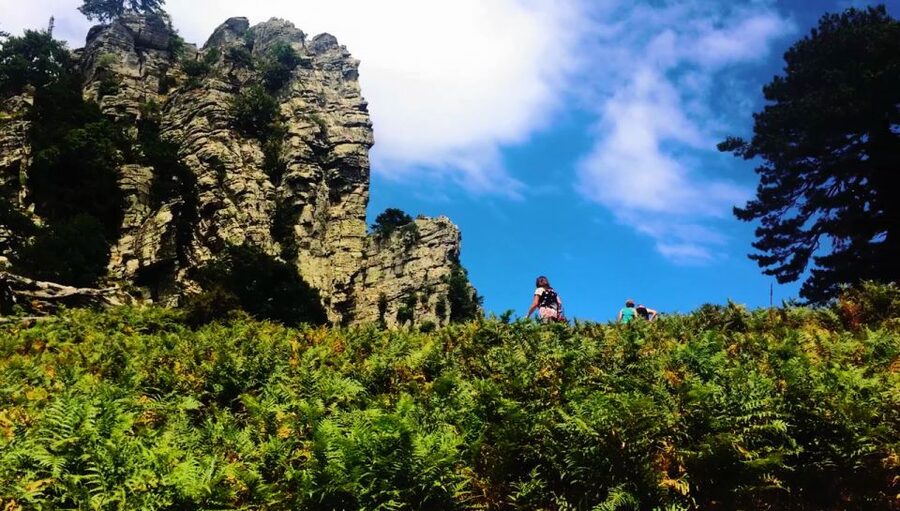 Jeep Safari in Thassos Mountain with picnic fruits & wine - Key points at a glance