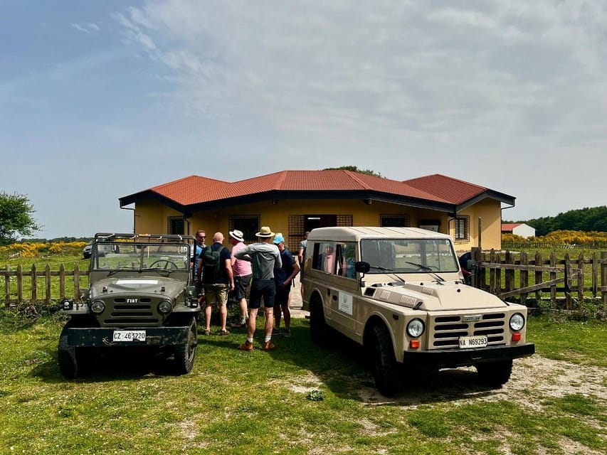 Jeep safari in the Aspromonte National Park - Returning by jeep to Magia dell’Aspromonte