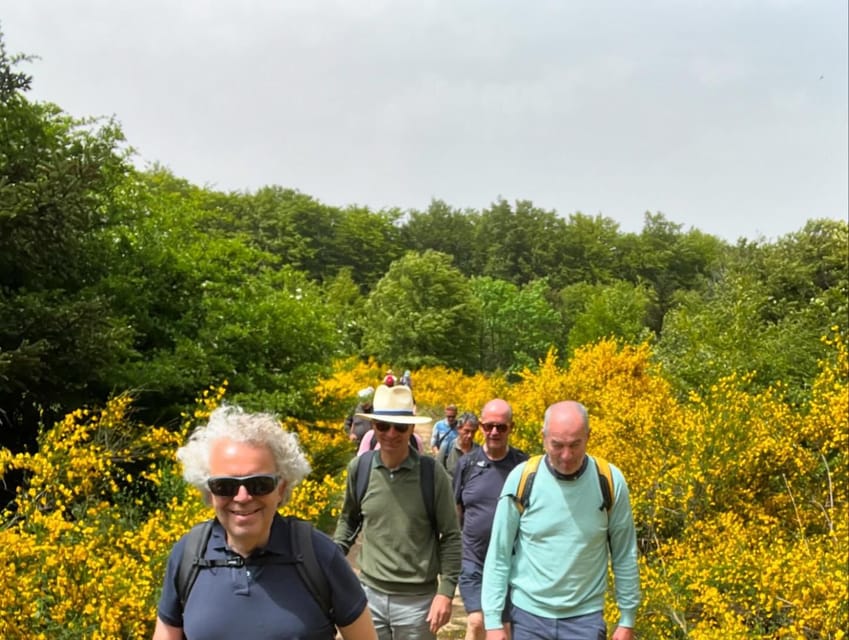 Jeep safari in the Aspromonte National Park - Timing, price, and practical value