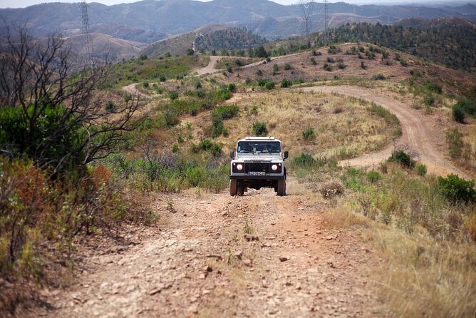 Jeep Safari to Akamas National Park: Avakas Gorge Tour from Paphos - Crossing Akamas by jeep