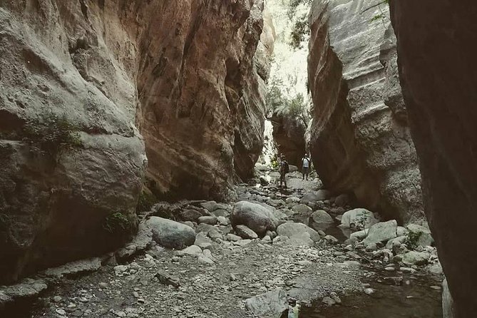 Jeep Safari to Akamas National Park: Avakas Gorge Tour from Paphos - Aphrodite’s Baths, a short mythological stop