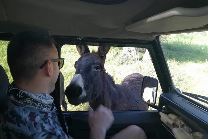 Jeep Safari to Akamas National Park: Avakas Gorge Tour from Paphos - What the price of $84.69 really covers