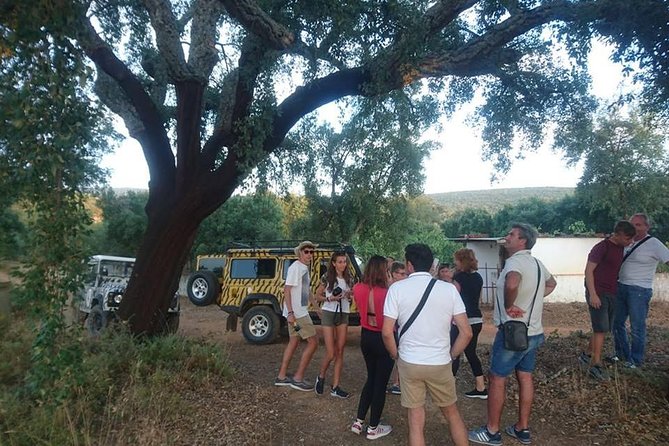 Jeep Safari Tour - Full Day - Local tastings make the drive more memorable