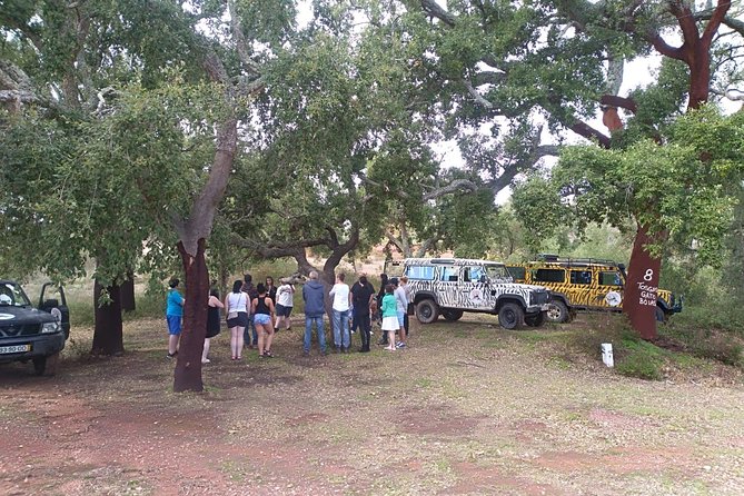 Jeep Safari Tour - Half Day - Guides can make or break the experience
