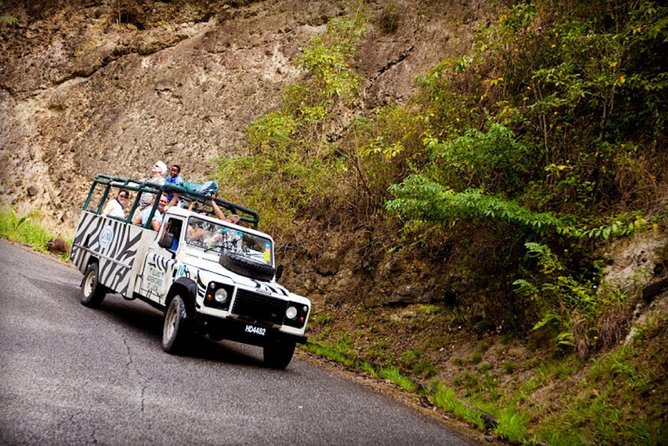 Jeep & Zip Safari St. Lucia From Castries - Key points at a glance