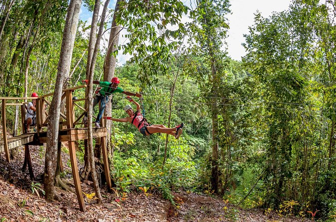 Jeep & Zip Safari St. Lucia From Castries - What $157.90 gets you