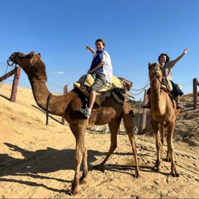 Jodhpur: Desert Camel and Jeep Safari with Traditional Food - From Jodhpur to Osian and the Thar Desert