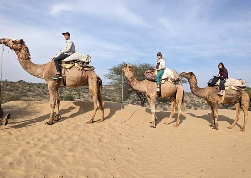 Jodhpur: Overnight Stay in Desert with Camel Safari - Leaving Jodhpur at 2:30 PM