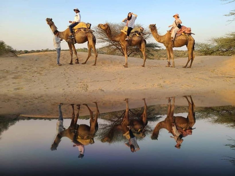Jodhpur: Overnight Stay in Desert with Camel Safari - Who will enjoy this overnight stay