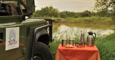 2-Day 4-Star Pilanesberg Safari