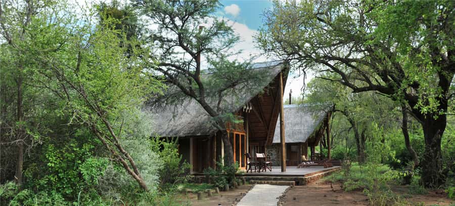 Johannesburg: 2-Day 4-Star Pilanesberg Safari - Day two: hot drinks, sunrise, and the quietest hour