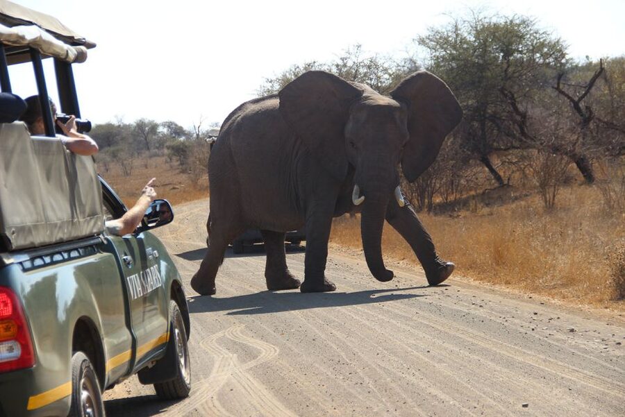 Johannesburg: 3-Day Classic Kruger National Park Safari Tour - What the lodge is really like