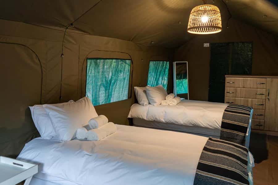 Johannesburg: 3-Day Kruger Budget Glamping Safari - Day one: sunset in the Blue Canyon Reserve
