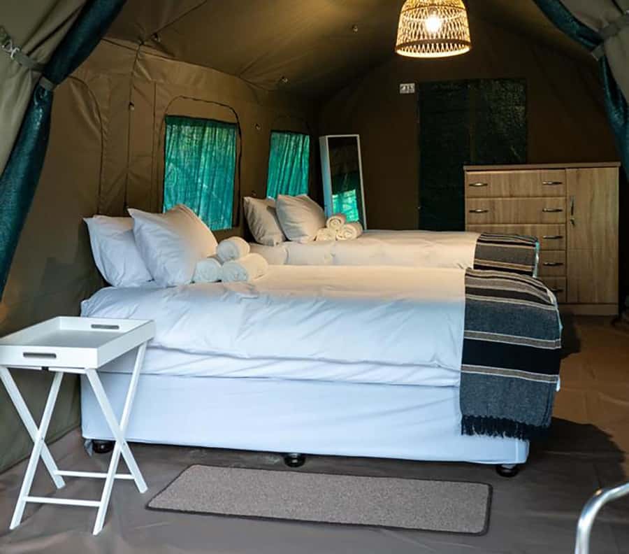 Johannesburg: 3-Day Kruger Budget Glamping Safari - Who will enjoy this safari most