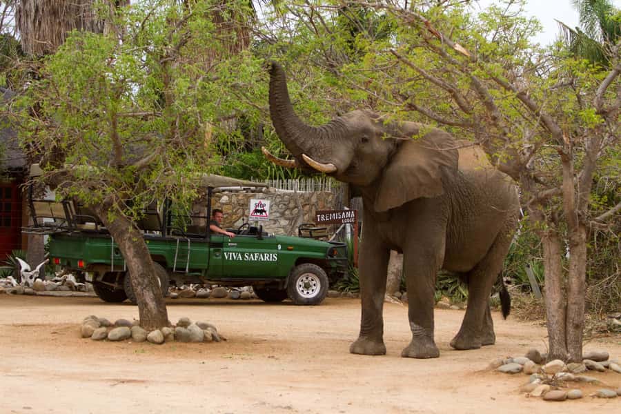 Johannesburg: 4-Day Classic Kruger National Park Safari - What $1,120 Buys You Over Four Full Days