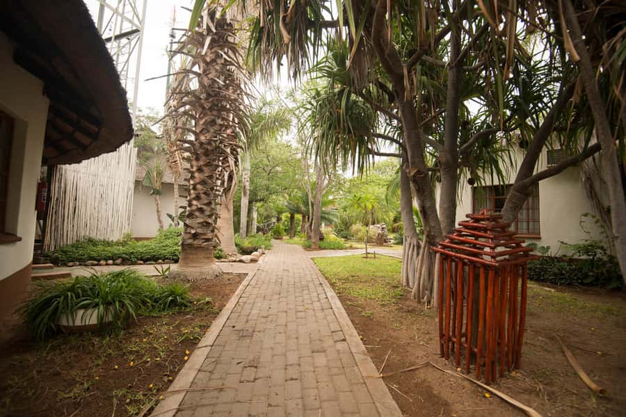 Johannesburg: 4-Day Classic Kruger National Park Safari - Kruger National Park on Day Three
