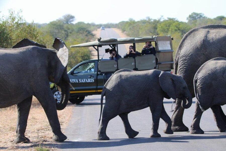 Johannesburg: 4-Day Classic Kruger National Park Safari - The Final Sunrise and Three Rondawels