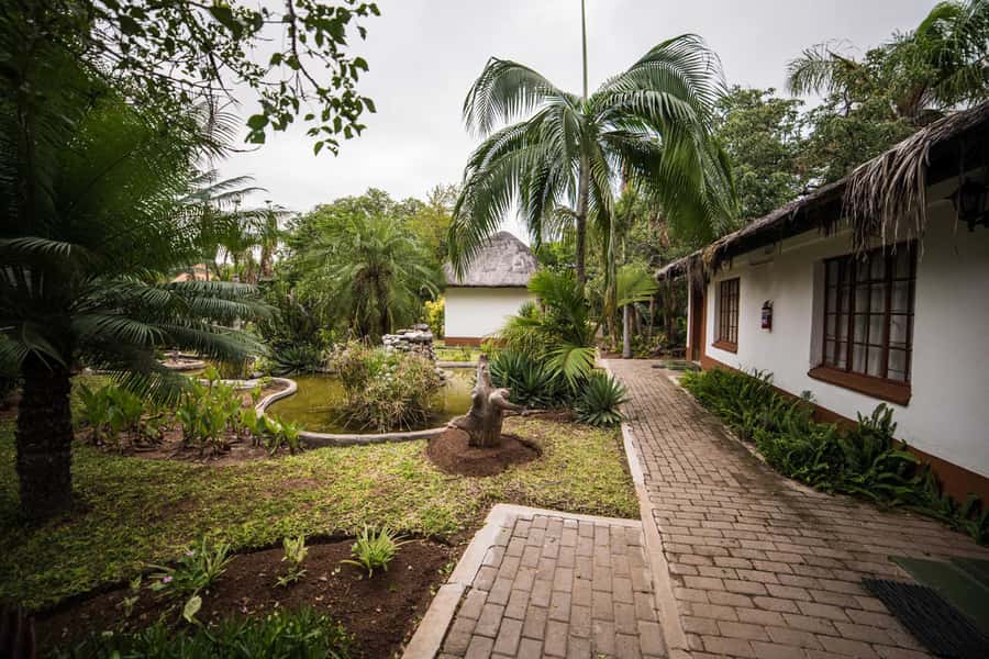 Johannesburg: 4-Day Classic Kruger National Park Safari - Food, Rooms, and the Small-Group Setup