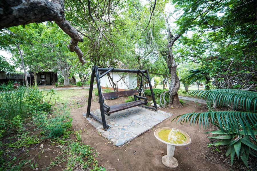 Johannesburg: 4-Day Classic Kruger National Park Safari - Practical Details Before You Book