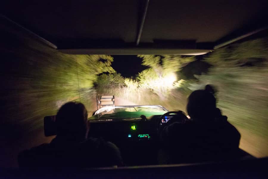 Johannesburg: 4-Day Classic Kruger National Park Safari - The First Sunset Drive and Marula Tree Boma