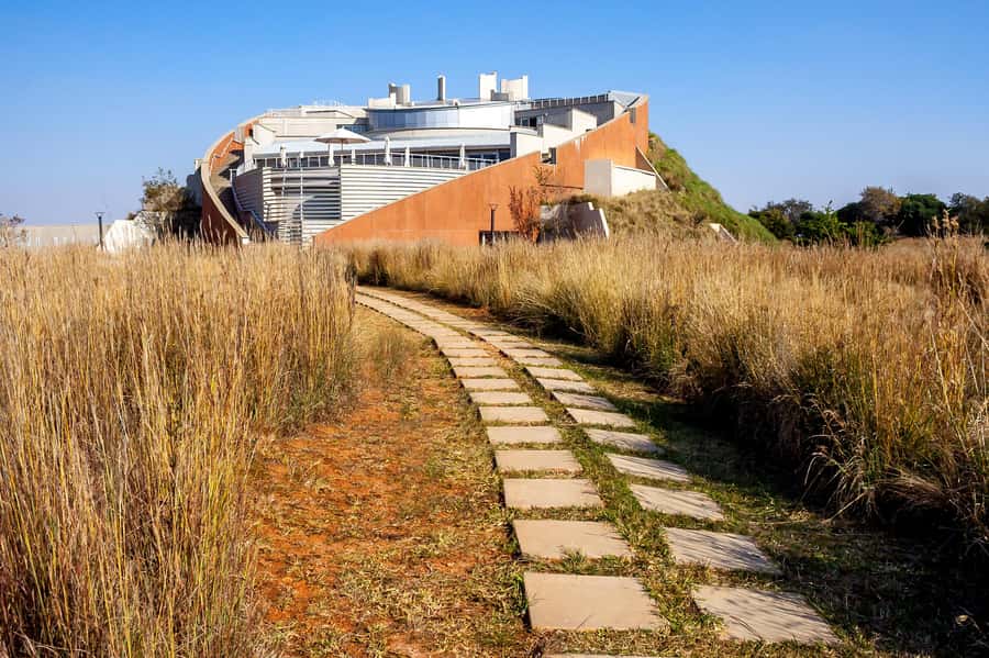 Johannesburg: Lion Park Safari and Cultural Village Tour - Two sides of South Africa in one day