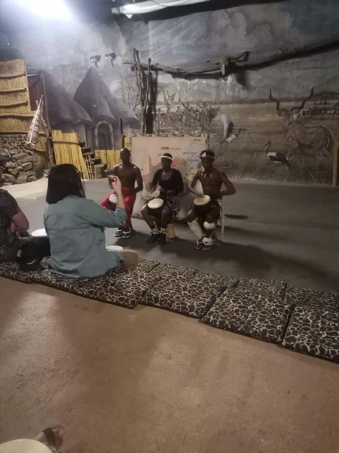 Johannesburg: Lion Park Safari and Cultural Village Tour - Should you book it?