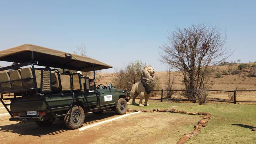 Johannesburg: Rhino and Lion Nature Reserve Safari - Why the guide matters