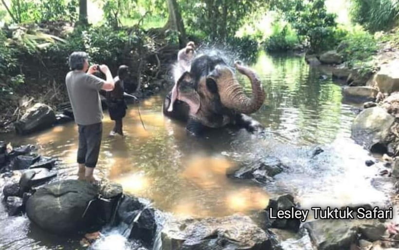Kandy : Pinnawala Elephant Safari Private Guid Tuk Tuk Tour - Pinnawala first, then a wide sweep of Kandy