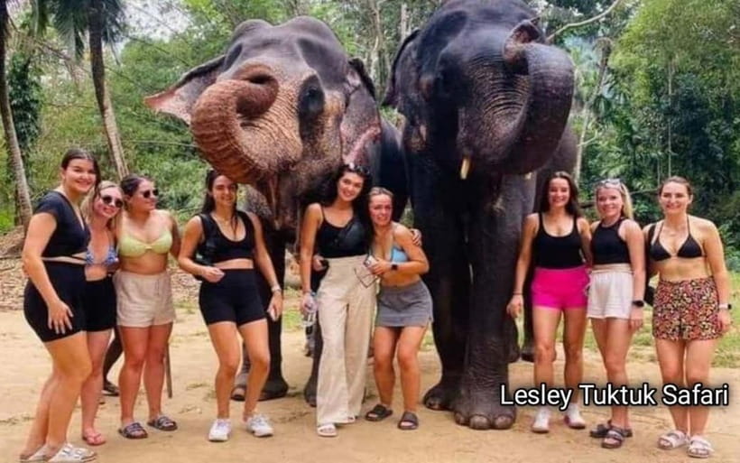 Kandy : Pinnawala Elephant Safari Private Guid Tuk Tuk Tour - Kadugannawa reveals the old route into the hills