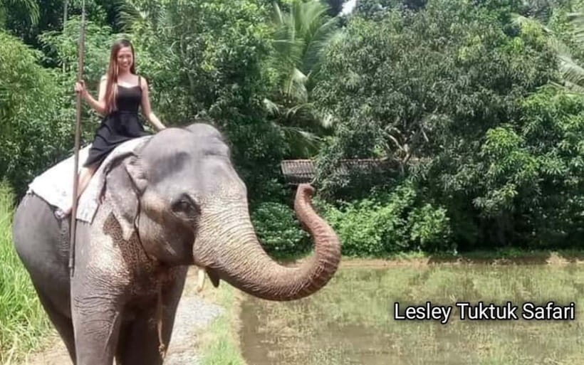 Kandy : Pinnawala Elephant Safari Private Guid Tuk Tuk Tour - A lunch break keeps the day moving