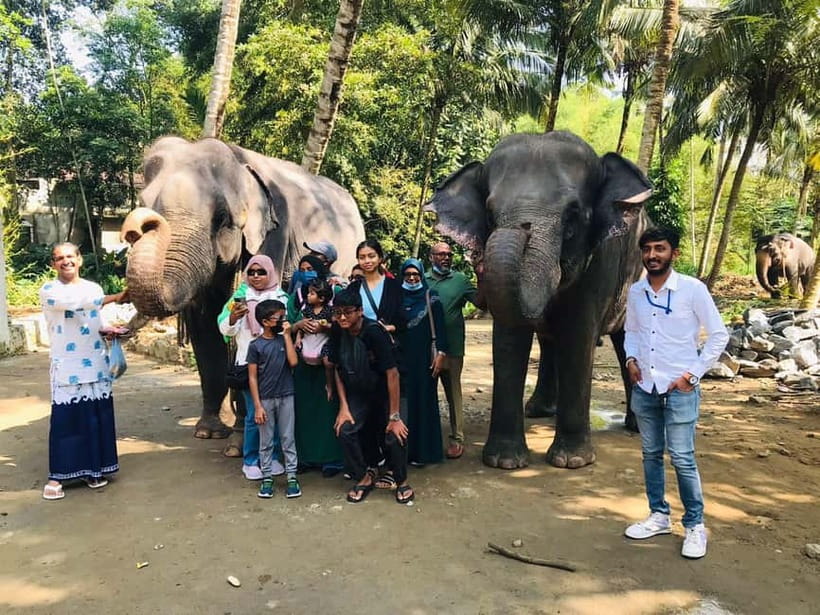 Kandy : Pinnawala Elephant Safari Private Guid Tuk Tuk Tour - Tea, spices, and craft shops show working Sri Lanka