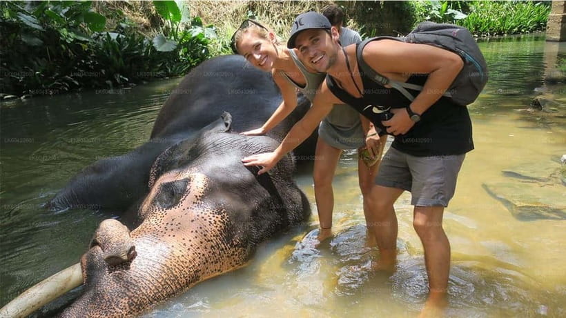 Kandy : Pinnawala Elephant Safari Private Guid Tuk Tuk Tour - Temples add depth to the Kandy visit