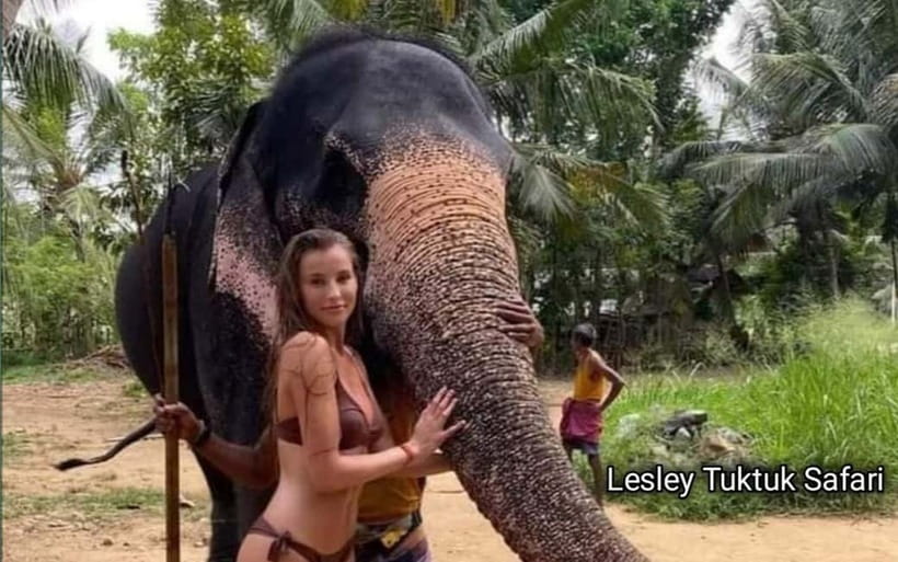 Kandy : Pinnawala Elephant Safari Private Guid Tuk Tuk Tour - Views come in short, useful bursts