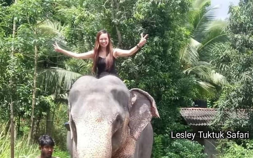 Kandy : Pinnawala Elephant Safari Private Guid Tuk Tuk Tour - Why the tuk-tuk format matters