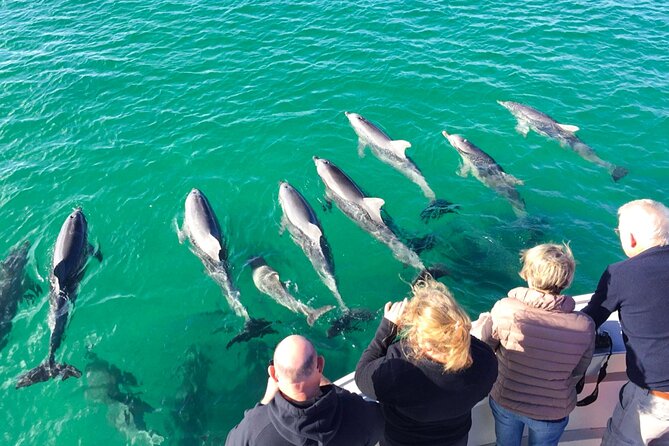 Kangaroo Island 75-Minute Coastal Safari - Setting out from Christmas Cove