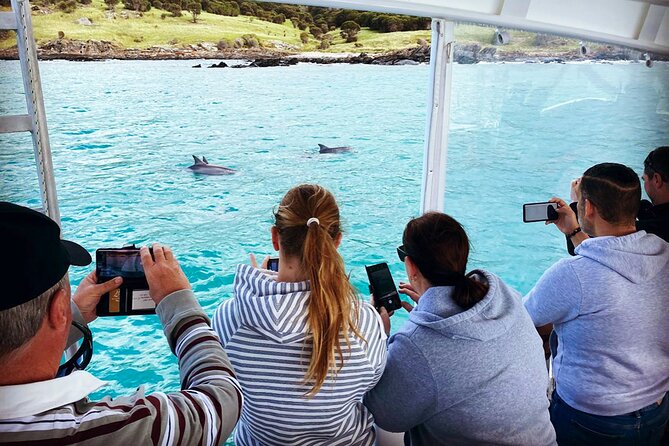 Kangaroo Island 75-Minute Coastal Safari - Eagles, seabirds, and the coastal view