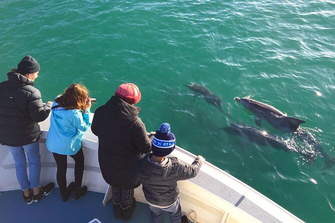 Kangaroo Island 75-Minute Coastal Safari - What the 75 minutes feels like