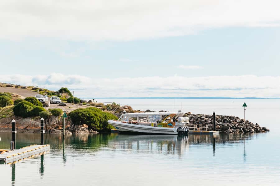 Kangaroo Island: 75-Minute Coastal Safari - Who should book this coastal safari?