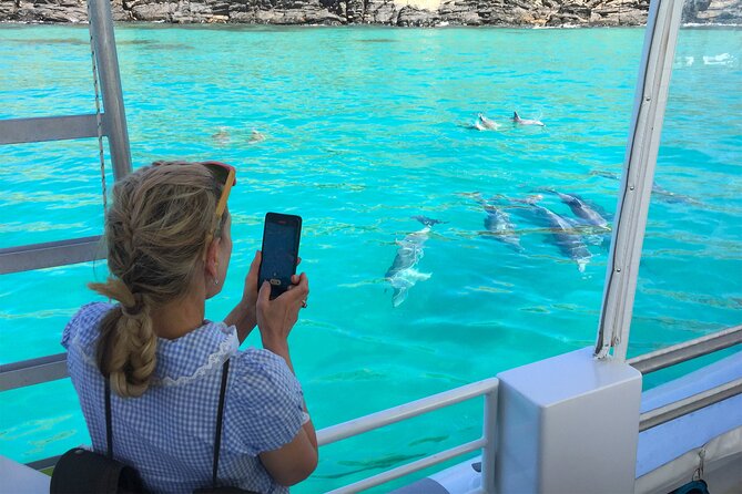 Kangaroo Island: 75-Minute Coastal Safari - What the 75-minute route gives you