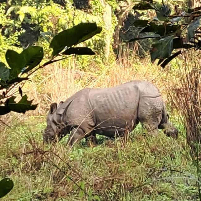 Kathmandu: 3-Day Chitwan Safari Tour with Hotel Transfers - Day one: arrival, park introduction, and Tharu culture