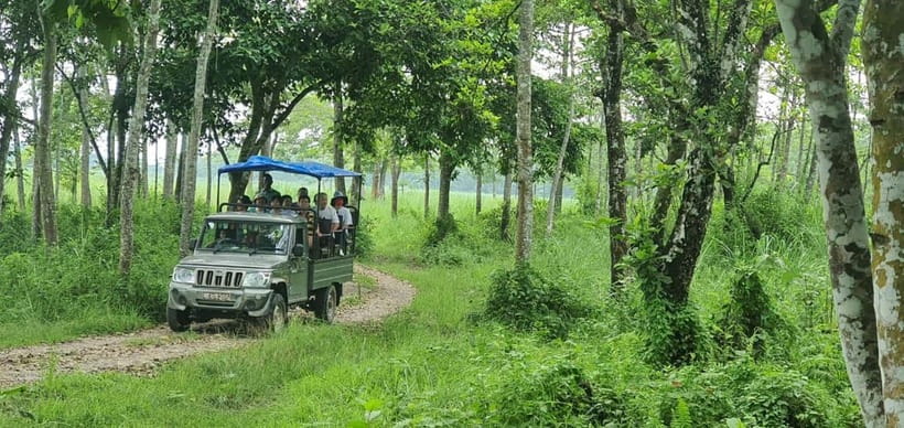 Kathmandu: 3-Day Chitwan Safari Tour with Hotel Transfers - Day two: crocodiles, jungle walking, and the jeep safari