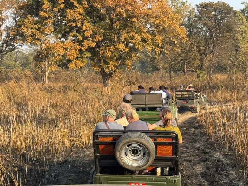 Kathmandu: 3-Day Chitwan Safari Tour with Hotel Transfers - Accommodation and meals at Chitwan