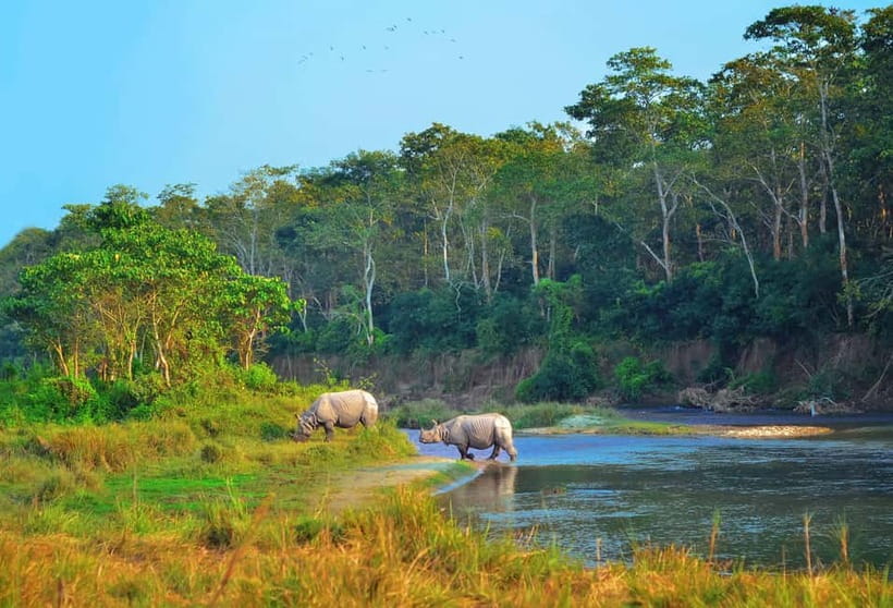 Kathmandu/Pokhara: 3 Day Chitwan Jungle Safari Tour - Reaching Chitwan from Kathmandu or Pokhara