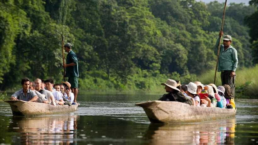 Kathmandu/Pokhara: 3 Day Chitwan Jungle Safari Tour - Who should choose this safari?