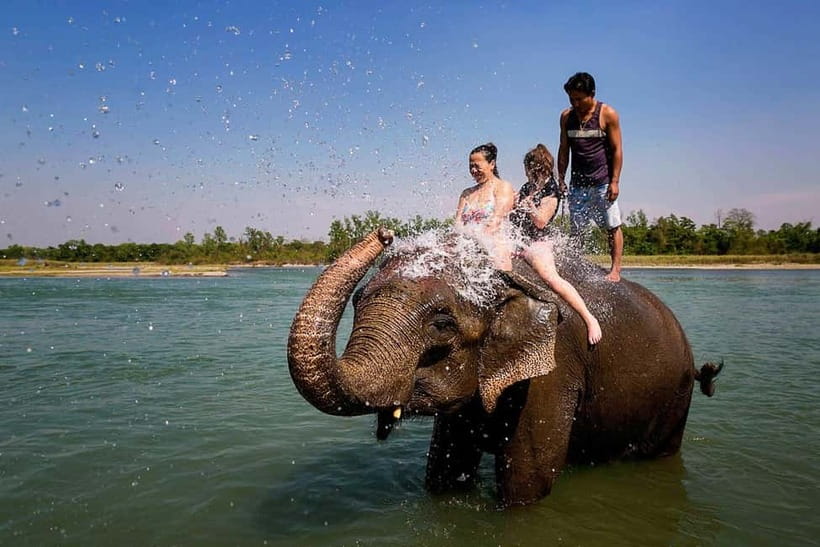 Kathmandu/Pokhara: 3 Day Chitwan Jungle Safari Tour - Should you book the Chitwan safari?