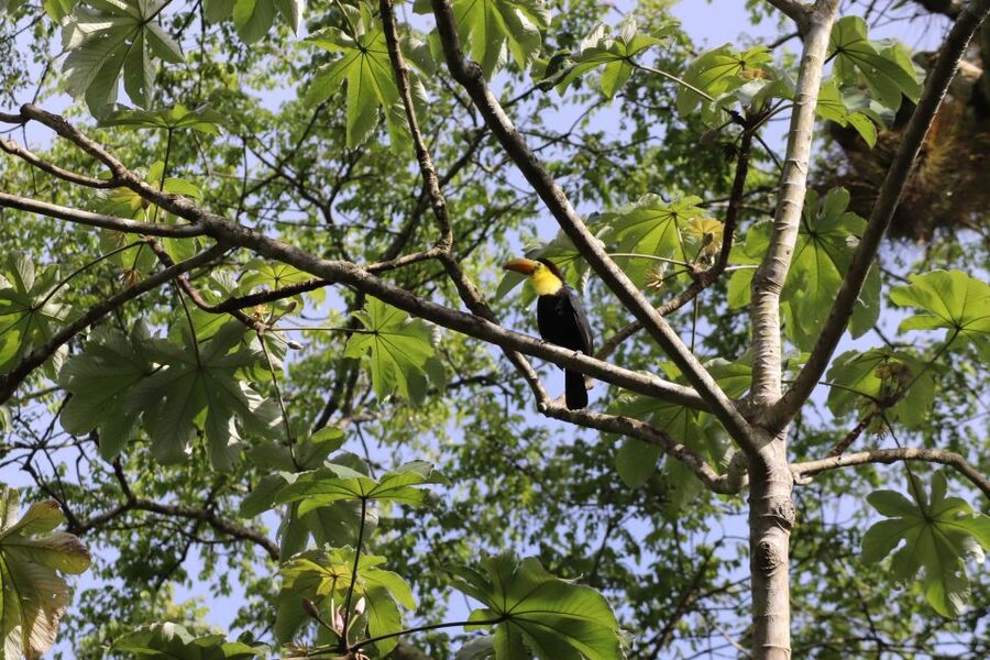Kathmandu/Pokhara: Wildlife, Culture and Jungle Safari Tour - The elephant breeding center and an ethical choice