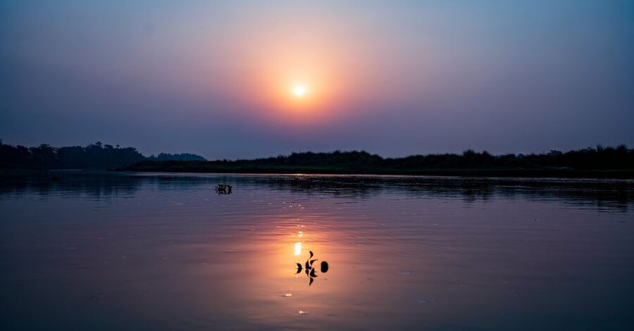 Kathmandu/Pokhara: Wildlife, Culture and Jungle Safari Tour - Meeting the Tharu community